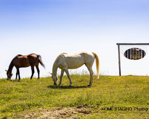 Horse Riding Holidays near Siena, in Tuscany, Italy
