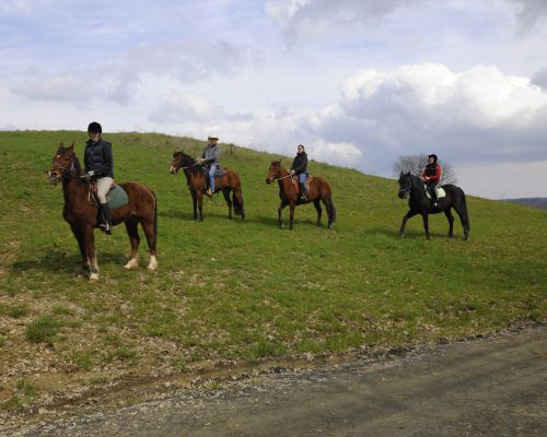 Lezioni di Equitazione vicino Siena, in Toscana - Fattoria Tègoni
