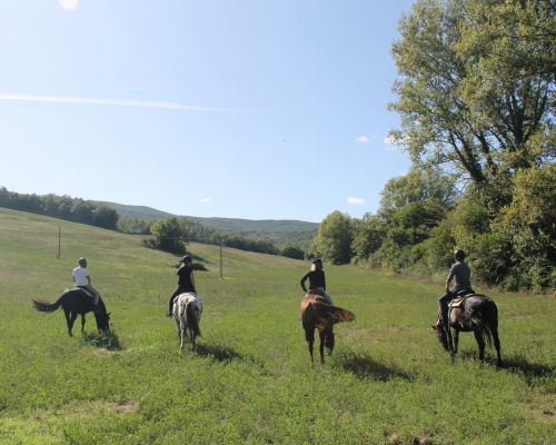 Panoramic Horserides near Siena, in Tuscany, Italy - Fattoria Tègoni