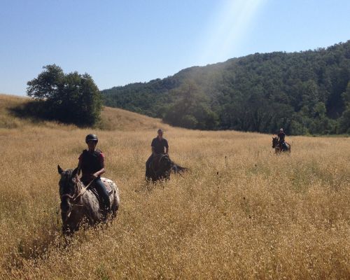 Panoramic Horserides near Siena, in Tuscany, Italy - Fattoria Tègoni
