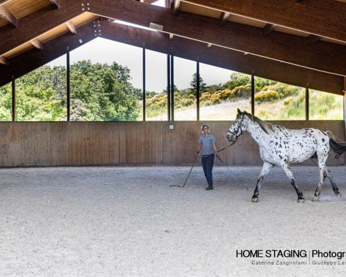 Horse Riding Lessons near Siena, in Tuscany, Italy - Fattoria Tègoni