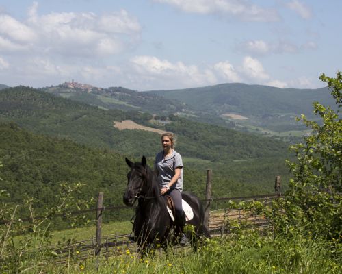 Passeggiate a Cavallo vicino Siena, in Toscana - Fattoria Tègoni