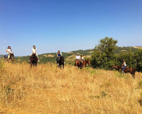 Passeggiate a Cavallo vicino Siena, in Toscana - Fattoria Tègoni